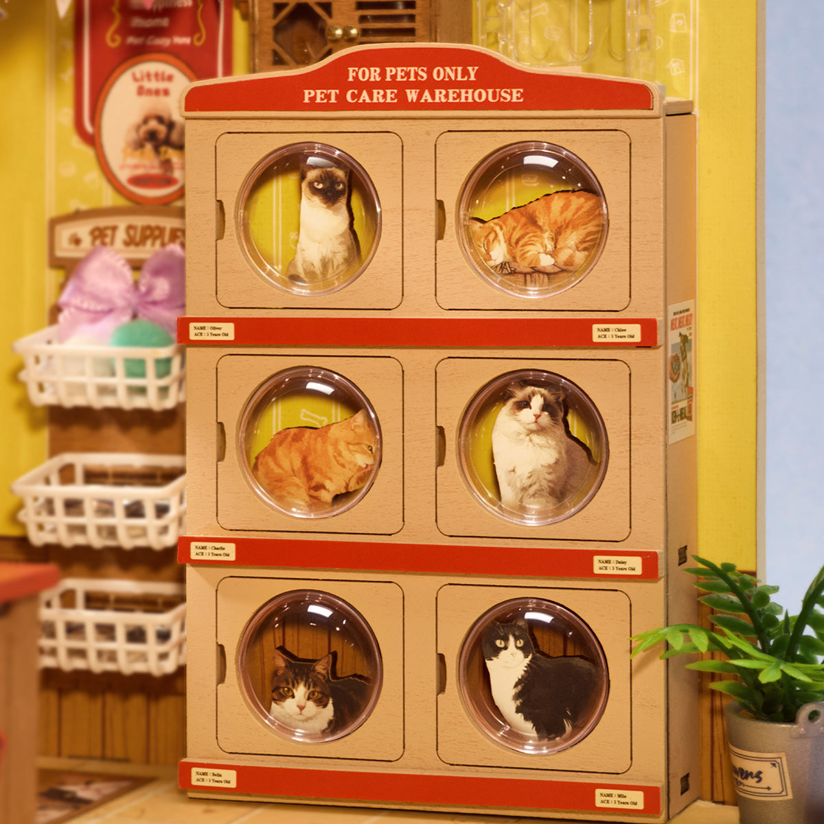 Rolife DIY Miniature House - Fluffy Friends Store DG185
